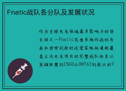 Fnatic战队各分队及发展状况