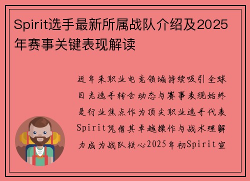 Spirit选手最新所属战队介绍及2025年赛事关键表现解读